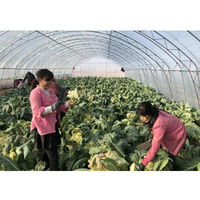Serre en polycarbonate écologique pour la culture de légumes/fleurs/tomates/concombres avec système de refroidissement