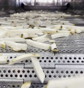 Linea Automatica per la Lavorazione del Taro: Lavaggio, Taglio, Sminuzzamento, Essiccazione, Frittura e Congelamento Rapido IQF con Confezionatrice - Product Image 4