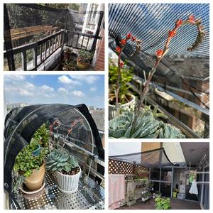 Thicken BlackMono Parasol Red Balcón Pantalla DE PRIVACIDAD <span class=keywords><strong>Malla</strong></span> Anti-UV Pérgola Cubierta de sombreado Toldo al aire libre <span class=keywords><strong>80</strong></span>% Tasa de sombreado - Product Image 6