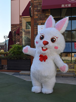 Costume gonflable de mascotte de lapin pour adultes Costume en peluche de lapin de Pâques Halloween Fête de Noël
