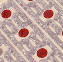 Kasur pemanas terapi lampu merah penggunaan kantor alas terapi biophone - Product Image 3