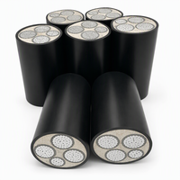 Câble d'alimentation blindé en aluminium YJLV22 3*120+1*70mm² 0.6/1kv 4 conducteurs XLPE - Description du produit