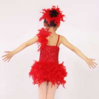 Plume paillettes cristaux professionnel Blackpool compétition robe de danse latine