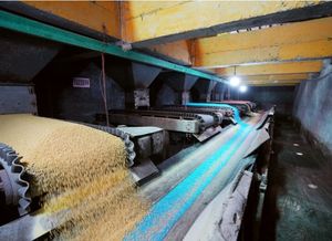 <span class=keywords><strong>Precio</strong></span> competitivo Npk Fertilizante <span class=keywords><strong>Nitrato</strong></span> Potasio Compuesto Fertilizante 15-15-15 - Product Image 4