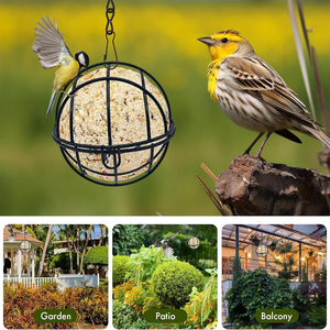 Chất Béo Bóng Chủ <span class=keywords><strong>S</strong></span>ở Hữu Treo Kim Loại Chim Ăn Với <span class=keywords><strong>S</strong></span> Hình Móc Hoang Dã Chim Ăn Dispenser Suet Bóng - Product Image 6