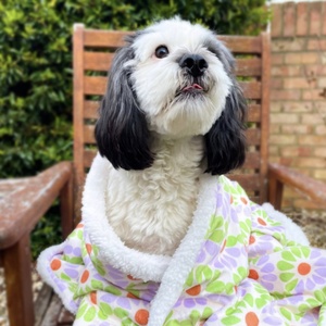 ผ้าคลุมเตียงสัตว์เลี้ยงขนาดใหญ่ พิมพ์ลายหรูหราตามสั่ง ขนเฟอร์เทียมเชอร์ปา นุ่มพิเศษ ผ้าห่มสุนัขแบบกำหนดเองได้ - Product Image 2