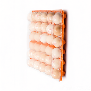 Nampan telur tengah 30 lubang ramah lingkungan berkualitas tinggi piring & mangkuk Blister untuk penggunaan pertanian atau komersial - Product Image 3
