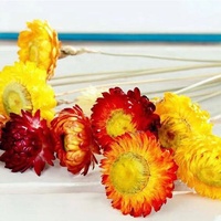Fleurs romantiques avec chrysanthème, accessoires pour la maison, vente en gros, paille séchée