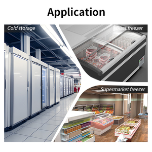 デジタル冷蔵庫サーモスタットEW-286コンテナ冷凍庫温度コントローラーの出力制御 - Product Image 3