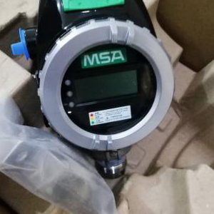 Détecteur de gaz H2S PrimaX P neuf, vendeur Gold - Product Image 2