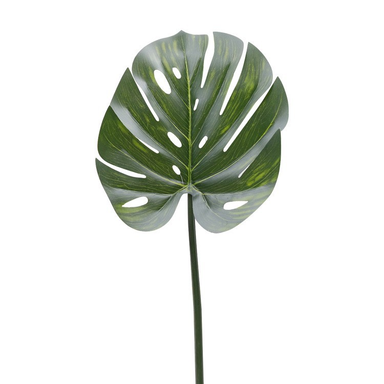 Petite carapace de tortue en forme de manche (feuille de carapace de tortue unique)