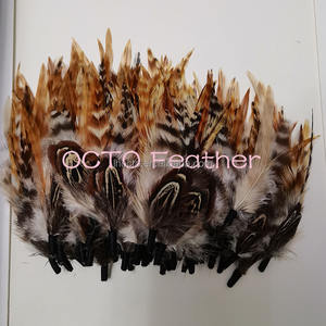 Hersteller 8-15cm Natürliche Fasanenfedern Kopfschmuck Accessoire Dekoration für Männer Frauen Cowboy Fedora Hüte Handgefertigte Federn - Product Image 5
