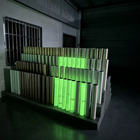 Film imprimable DTF réfléchissant et phosphorescent de 13 pouces en gros, rouleau A3 pour vêtements de sport, rouleau d'impression par transfert thermique de 30 cm x 60 cm, CE