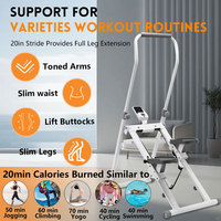 Nouvelle vente Gym escaliers grimpeur grimpeur Vertical pliable économie d'espace Fitness exercice grimpeur Machine
