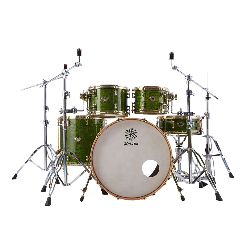 Hailun Artist Series Chinese Ash Burl Jazz drum set 5 drums 4 cymbals children Adult beginners Musical Percussion Instruments