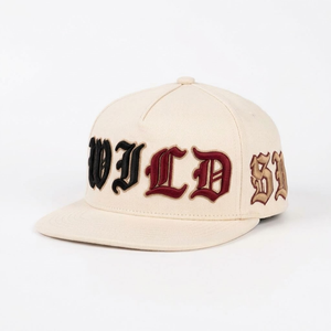 Gorras Personalizadas Todo en Uno, Gorra de Algodón Estilo A-Frame de 5 Paneles, Talla Ajustable, Logotipo Bordado en 3D, Gorra Hip Hop Snapback - Product Image 2