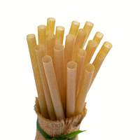 Azanature Reisvriendelijke, milieuvriendelijke, biologisch afbreekbare suikerrietrietjes, wegwerpbaar, herbruikbaar, recycleerbaar, Vietnam, voor melkthee en meer