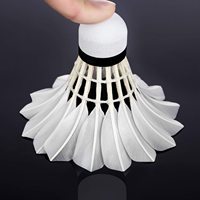 Volants de badminton très vendus et de haute qualité, pour les activités familiales et l'entraînement