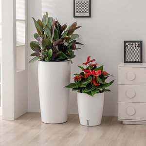 <span class=keywords><strong>2025</strong></span> Nhà Máy Bán Buôn Kích Thước Lớn Tự Tưới Nước Trong Nhà Trang Trí Nội Thất Sàn Cao Chậu Hoa Chủ Nhựa Trồng Vườn Sử Dụng - Product Image 5