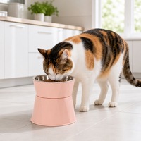 Bol pour chat en acier inoxydable en gros, ergonomique, surélevé, anti-vomissement, pour chaton