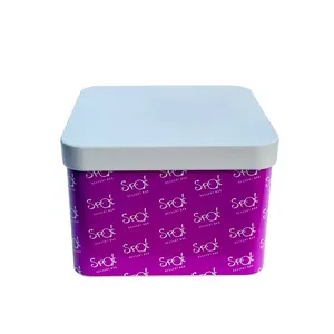 Dongguan manufacture customized square shape food grade tin box for food packing