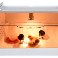 Couveuse de caille 2021 de taille moyenne, boîte d'élevage à poules, à vendre