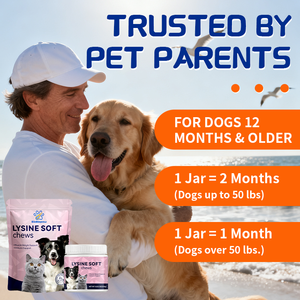 Köpekler için lizin yumuşak çiğnemek takviyeleri, veteriner-formüle + çinko, solunum sağlığı ve mukus rahatlama, All-Breed günlük bakım - Product Image 5