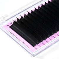 Extensions de cils individuelles Lymeebeauty, courbure C, vison, 0,07 mm, noir mat, boîte d'emballage, logo de la marque, fabrication artisanale, végan, sans cruauté