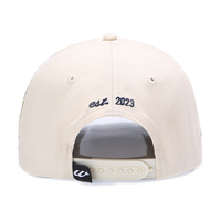 Gorra de Béisbol Deportiva de Algodón de 5 Paneles de Alta Calidad Personalizada con Bordado 3D Bicolor