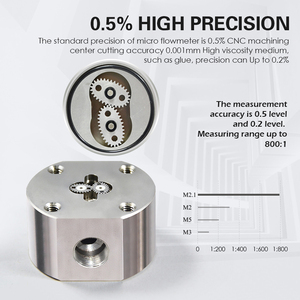 Shanghai JSN Digital Stainless Steel Flow Sensor Hydraulic Oil Flow Meter Micro Oval Gear Flow Meter - Product Image 2