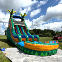 Toboggan aquatique gonflable palmier le plus populaire pour enfants avec piscine, pas cher en promotion