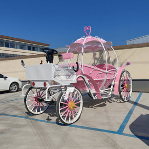 La dernière carrosse royale de tourisme conçue avec des caractéristiques distinctives - Product Image 1