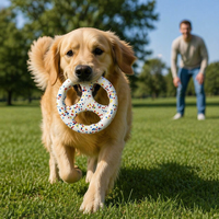 Jouet pour chien LY ETPU Sport, frisbee volant en forme de popcorn, volant pour Border Collie, jouet souple résistant aux morsures, exercice interactif, jeu de la force, 23CM