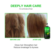 Nouveau Shampooing au Théier Très Vendu Nettoyage en Profondeur Soin Rafraîchissant du Cuir Chevelu Contrôle des Odeurs Laisse les Cheveux Légers et Propres