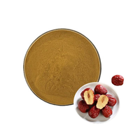 Chinees fruit rode dadels extract rode dadels poeder