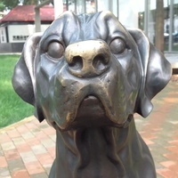 Statue de chien d'extérieur personnalisée, fabrication en usine, sculptures en métal, sculpture de chien en laiton