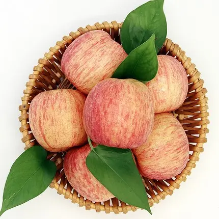 Gala Apple ผู้จัดจําหน่ายในจีน พืชใหม่ฟูจิคุณภาพดีที่สุด
