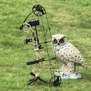Ensemble de tir à l'arc pour débutants STARTING 31, arc à poulies de chasse et kit complet DL19-30" DW19-70lbs, kits de tir à l'arc OEM/ODM STARTING 31 PACKAGE Jeunesse - Product Image 5