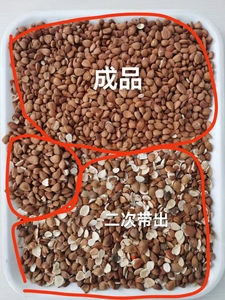 Separador óptico de almendras <span class=keywords><strong>SAN</strong></span> HE ZHONG con cámara CCD a todo color, clasificador de color inteligente para seleccionar almendras automáticas - Product Image 3