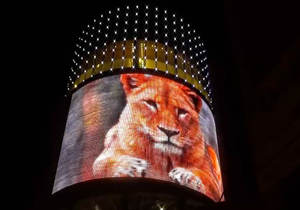 P3 P3.91 P5 P6 Digitale Bewegwijzering En Toont Video Buitenshuis Grote Reclame Led Tv-Scherm Waterdicht Led Muur Scherm Scherm - Product Image 6