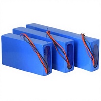 Baterai Lithium Polimer 60 Ah 24V Daya Tinggi untuk Perangkat Memancing, Paket Baterai Lithium Iron Phosphate, Suhu Operasi
