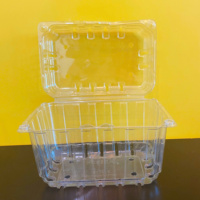 Récipient d'emballage jetable transparent de boîte en plastique d'animal de compagnie en gros 2025 pour la boulangerie et la nourriture