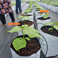Serre à armatures 6x15m avec ventilation supérieure et filet anti-insectes, pour zones tropicales, en stock, à vendre