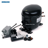 Compresseur hermétique à piston Aspera Embraco FFU160HAX 220-240V/50Hz R134a L/MBP 1/2HP pour la réfrigération