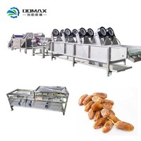 Ligne de traitement automatique des dattes : Équipement en acier inoxydable pour dénoyauteur, laveur, sécheur et emballeur de dattes
