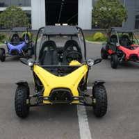 Buggy tout-terrain professionnel 200CC/150cc pour adultes, buggy des sables du désert, transmission par chaîne, 4 temps, kart à pédales, buggy des dunes