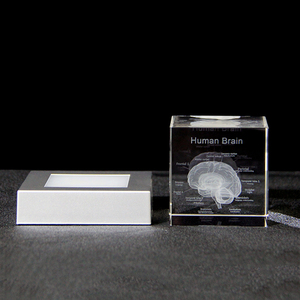 Mô hình giải phẫu não người <span class=keywords><strong>3D</strong></span> Quà Tặng y tế khối pha lê khắc khối thủy tinh não bác sĩ Công ty Dược phẩm quà tặng - Product Image 4
