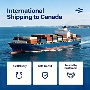 Agente di Spedizioni Aeree Cina India <span class=keywords><strong>Pakistan</strong></span> <span class=keywords><strong>Sri</strong></span> <span class=keywords><strong>Lanka</strong></span> Servizio Porta a Porta DDP (Azienda di Logistica) Prezzo Vantaggioso Economico - Product Image 6