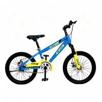 Vélo pour enfants durable avec freins à disque doubles, selle réglable, vitesse unique, pour les loisirs et le cyclisme en extérieur