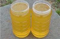 BEESTAR Krim Salju Madu atau Madu Bunga Kuning Produk Mentah Alami Murni Dari Bunga Canola Cina Alami untuk Hidangan Penutup